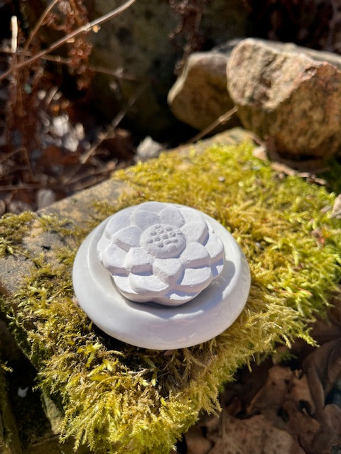 Aromasten
